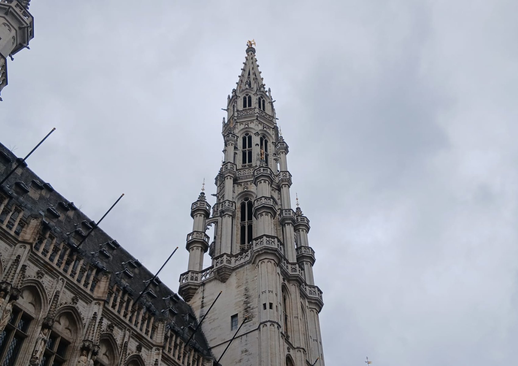 whatsapp image 2026-01-16 at 23.05.55 4